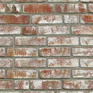 Cărămida klinker Roben GEESTBRAND bunt-weiss