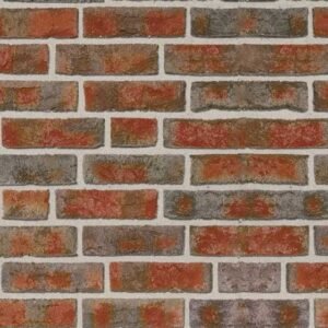 Placaj klinker Roben FORMBACK Buntgeflammt