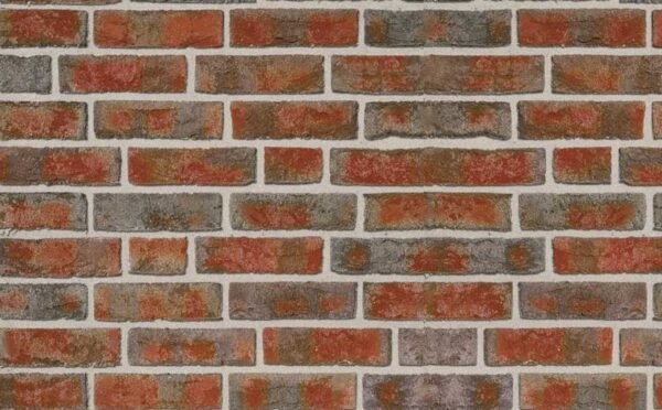 Placaj klinker Roben FORMBACK Buntgeflammt Placaj klinker Roben FORMBACK Buntgeflammt