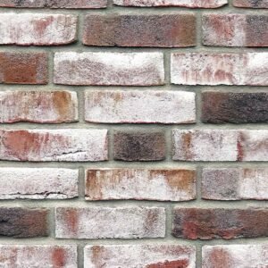 Placaj klinker Roben GEESTBRAND Grauweiss-bunt