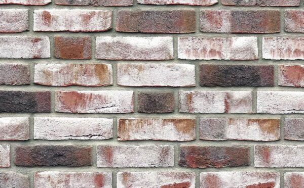 Placaj klinker Roben GEESTBRAND Grauweiss-bunt