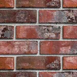 Placaj klinker Roben Wiesmoor rotblau-bunt