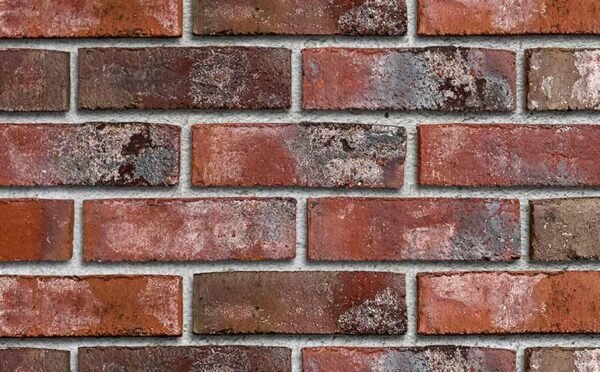 Placaj klinker Roben Wiesmoor rotblau-bunt Placaj klinker Roben Wiesmoor rotblau-bunt