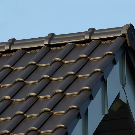 acoperis din tigla Bari