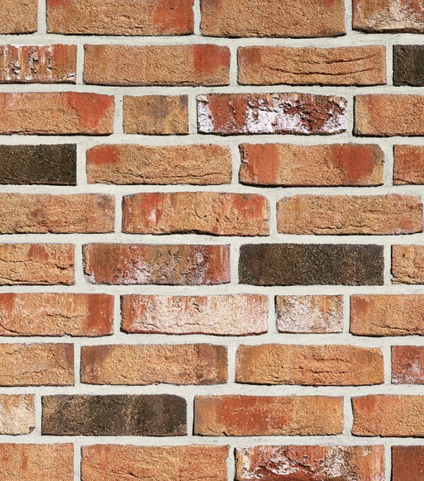 caramida klinker Roben MOORBRAND torf-bunt handform klinker Roben Moorbrand Torf Bunt Handform NF