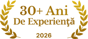 Ungureanu Art - 30 ani in constructii